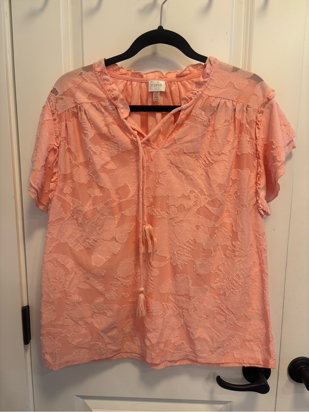 Cupio Peach Textured Tassel Tie Short Sleeve Blouse